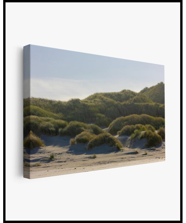 Dünen Leinwand