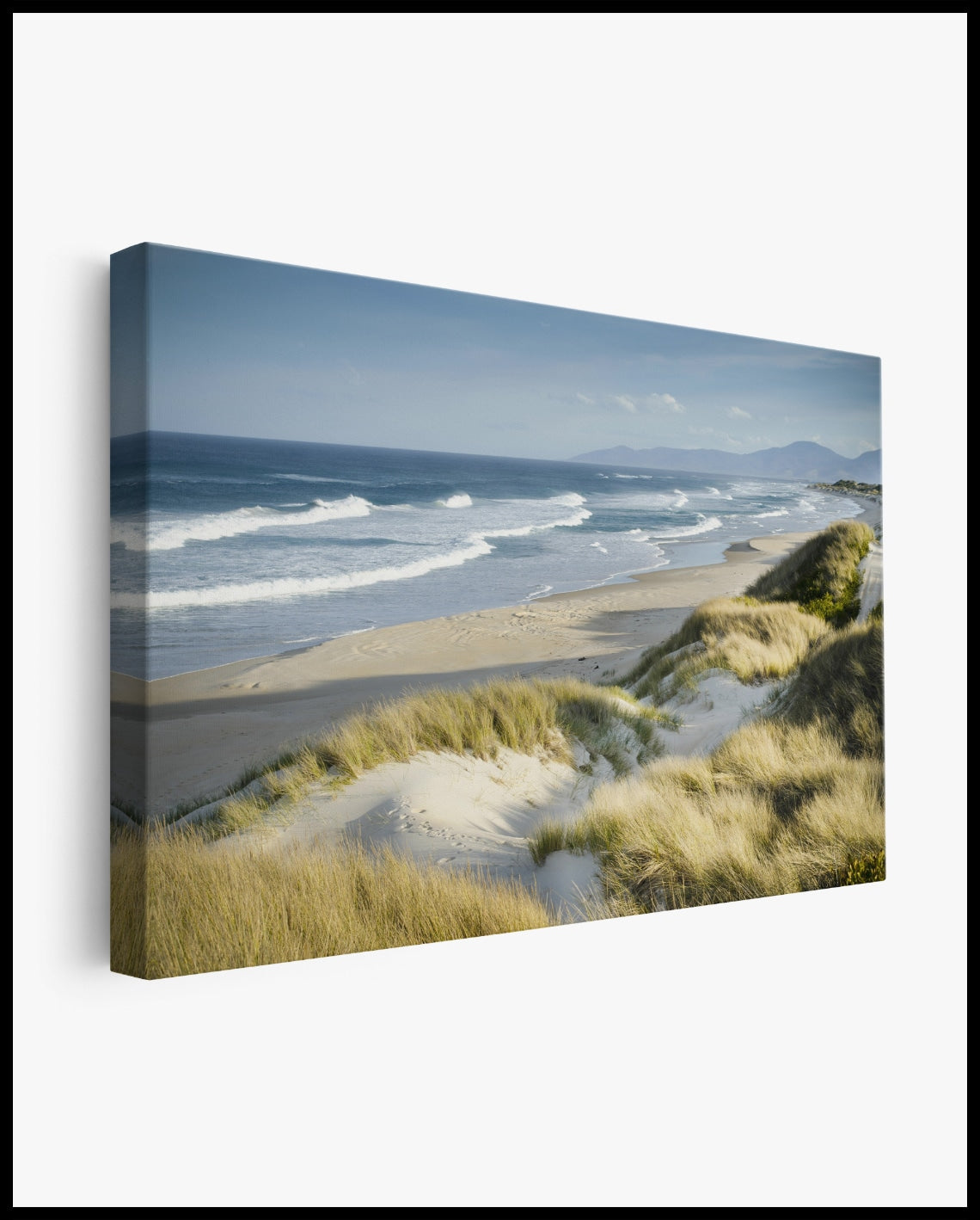 Beach View Dunes Canvas