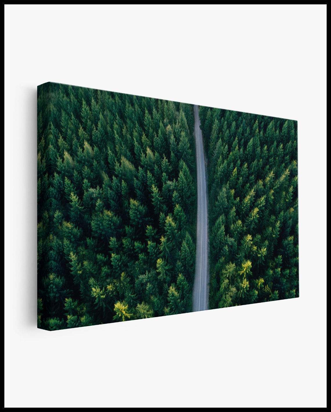 Road in the Forest Canvas