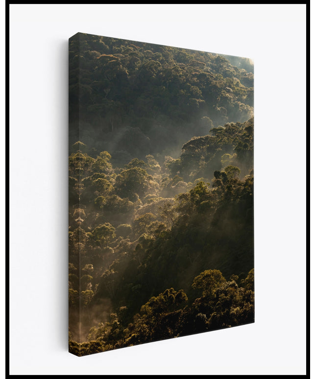 Wald Leinwand