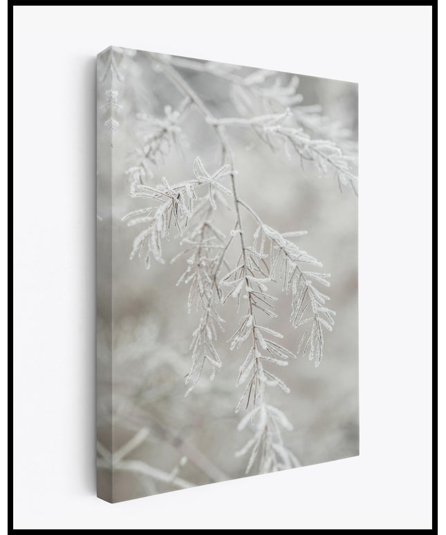 Zweig Leinwand