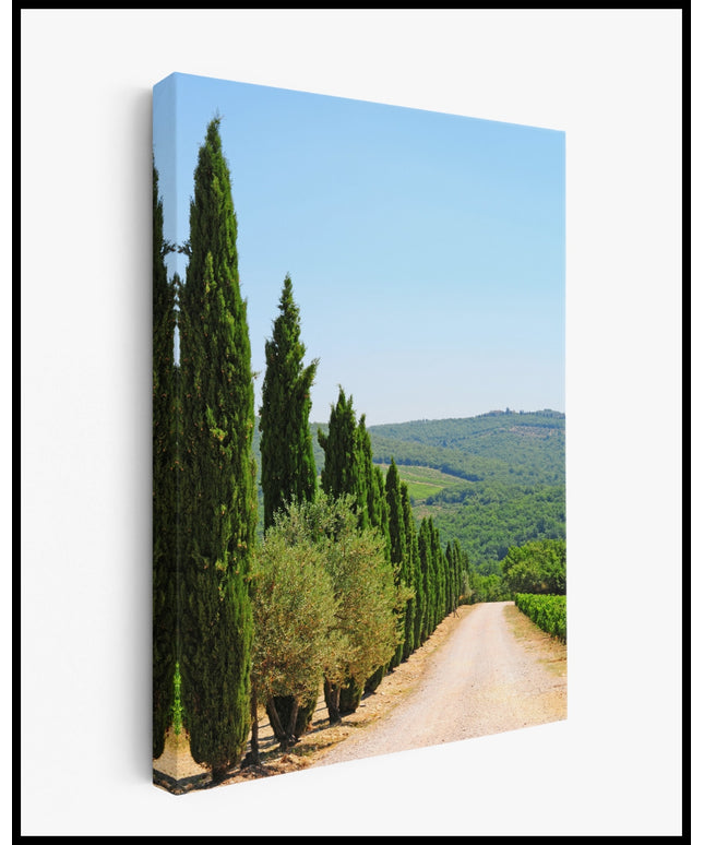 Zypressen Leinwand