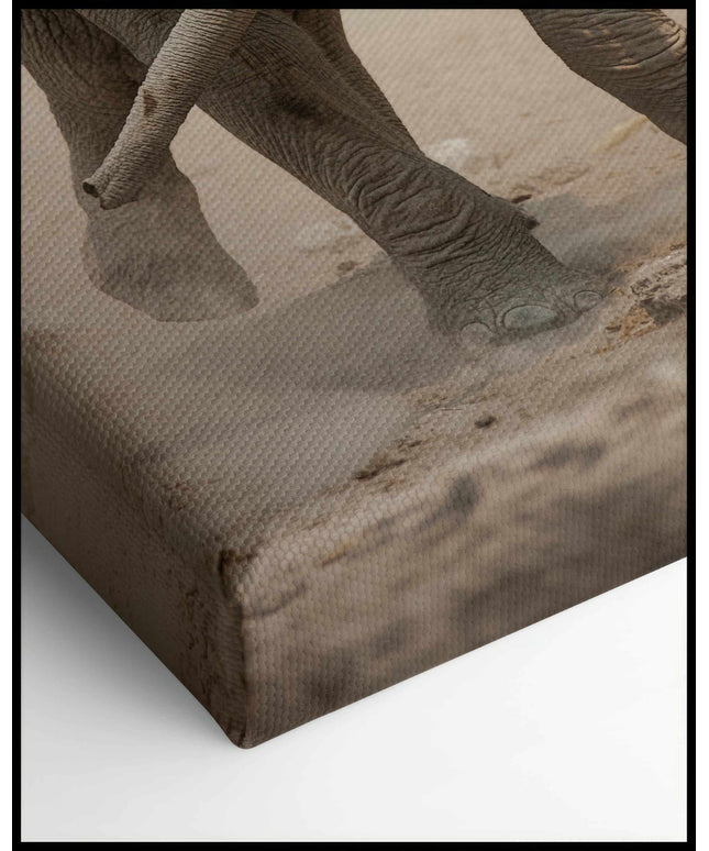 Elefantenbaby Leinwand