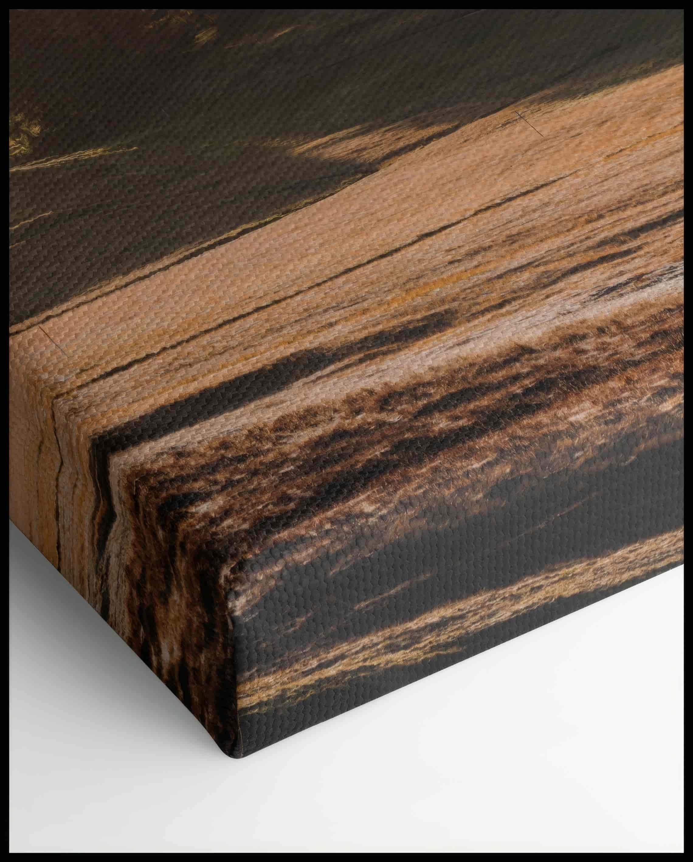 Dolomites Forest Canvas