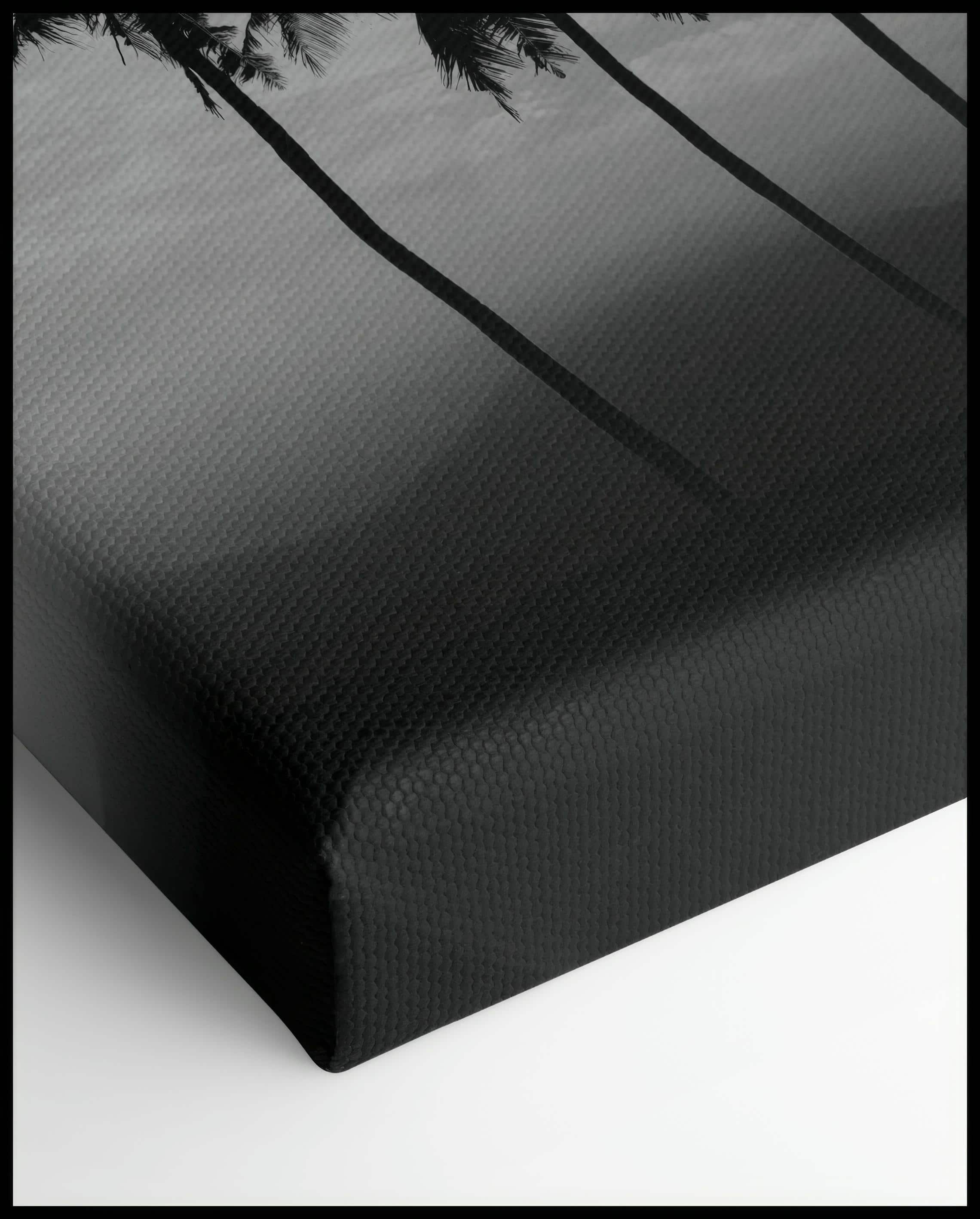 Black and White Palm Tree Canvas