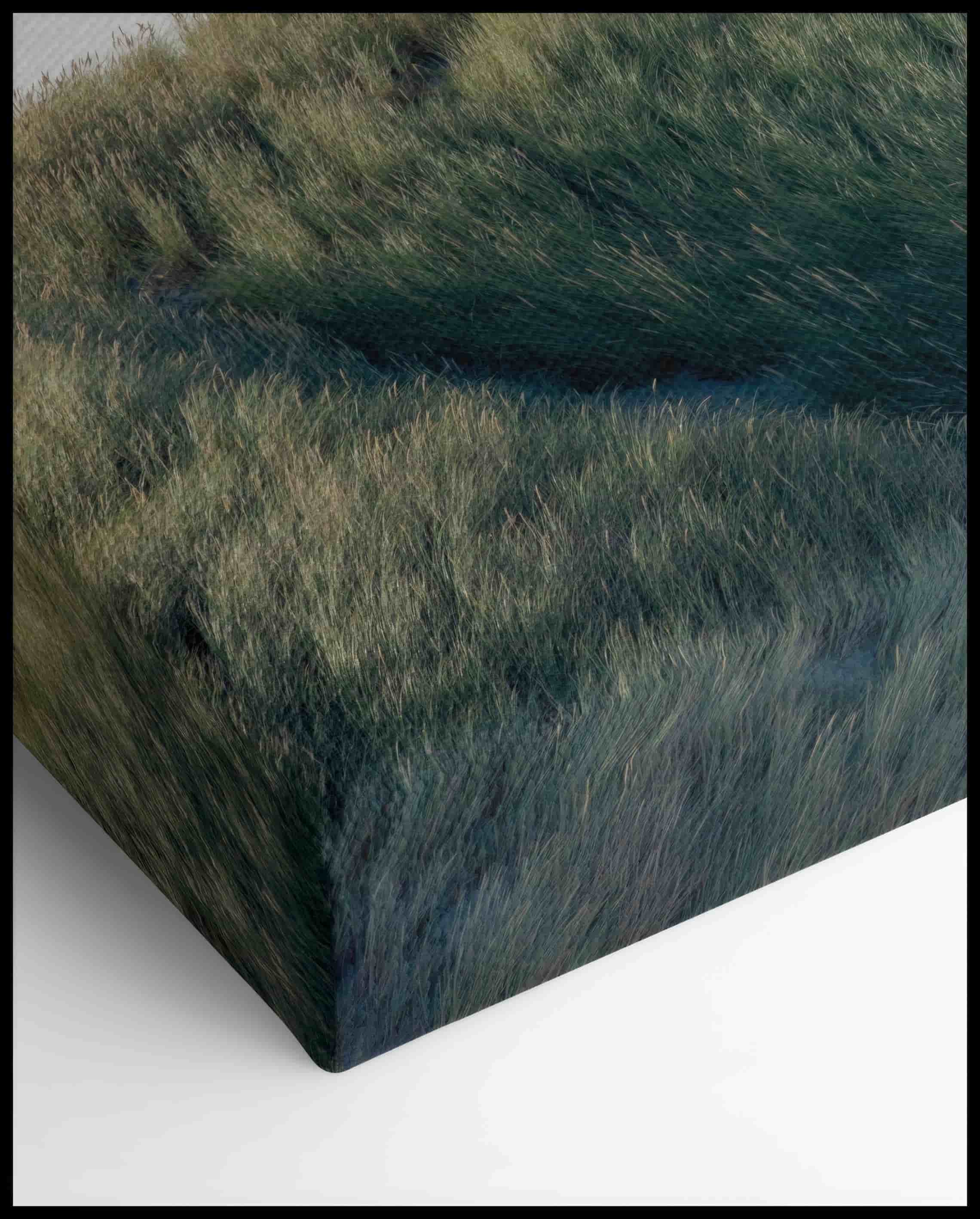 Dünen Leinwand