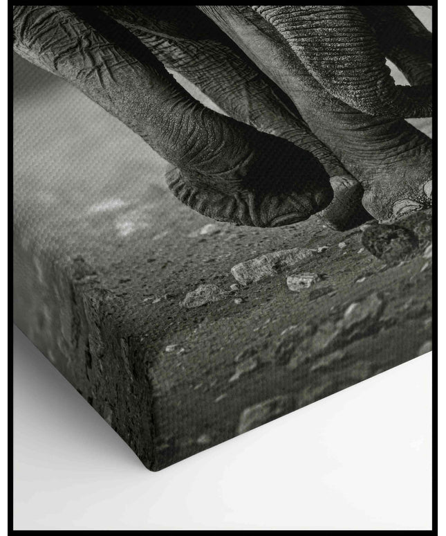 Elefanten Leinwand