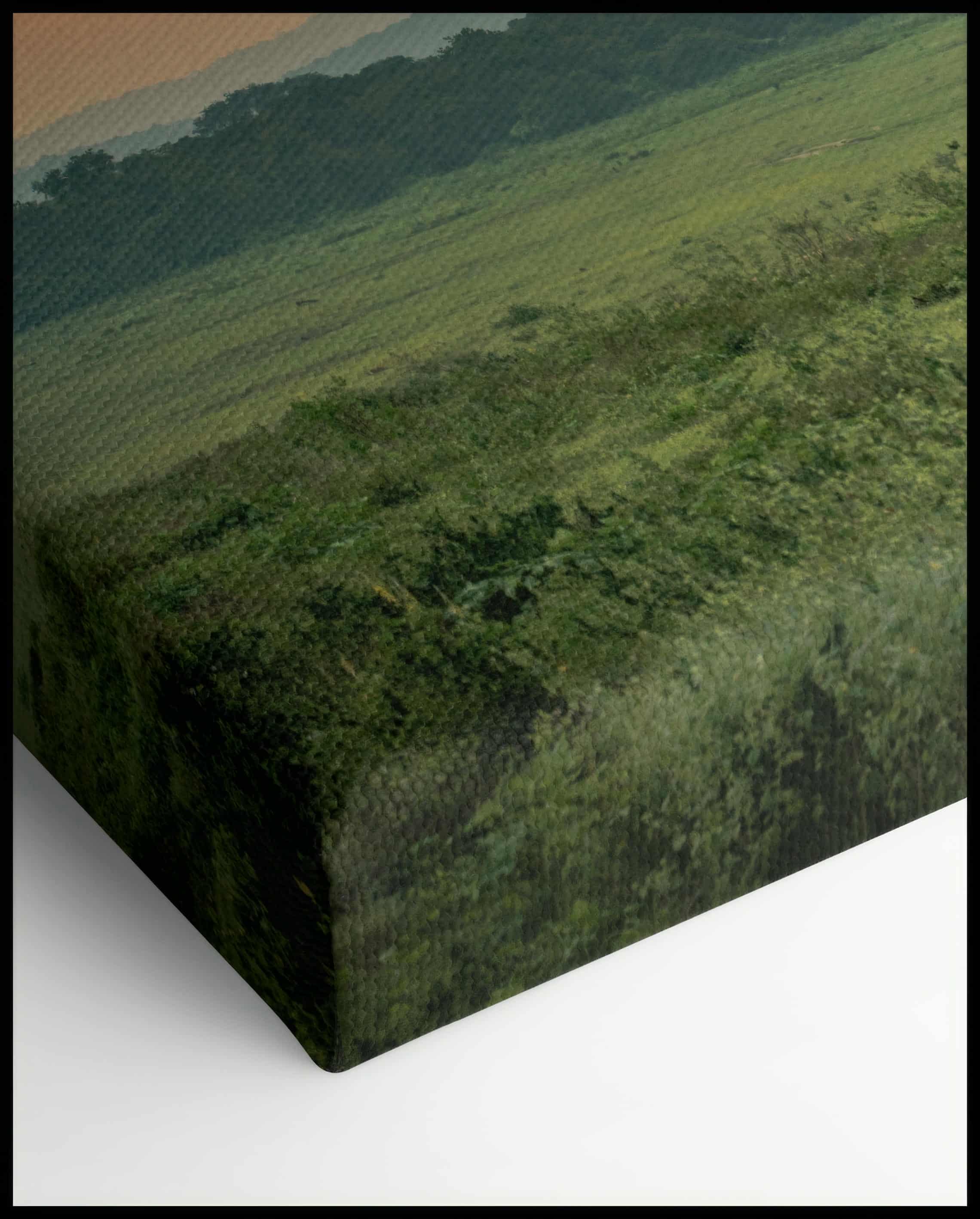 Elefanten Leinwand