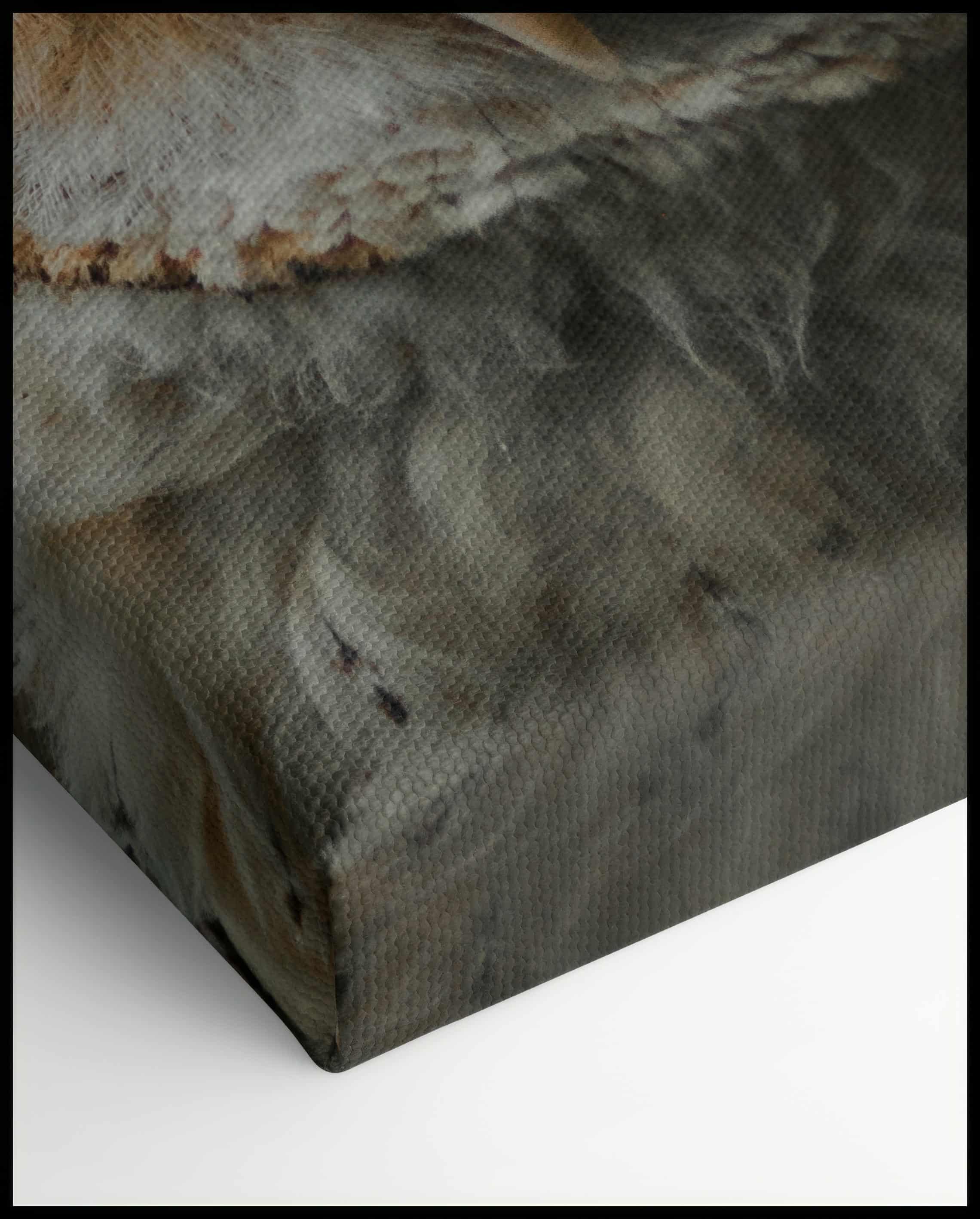 Eulen Leinwand