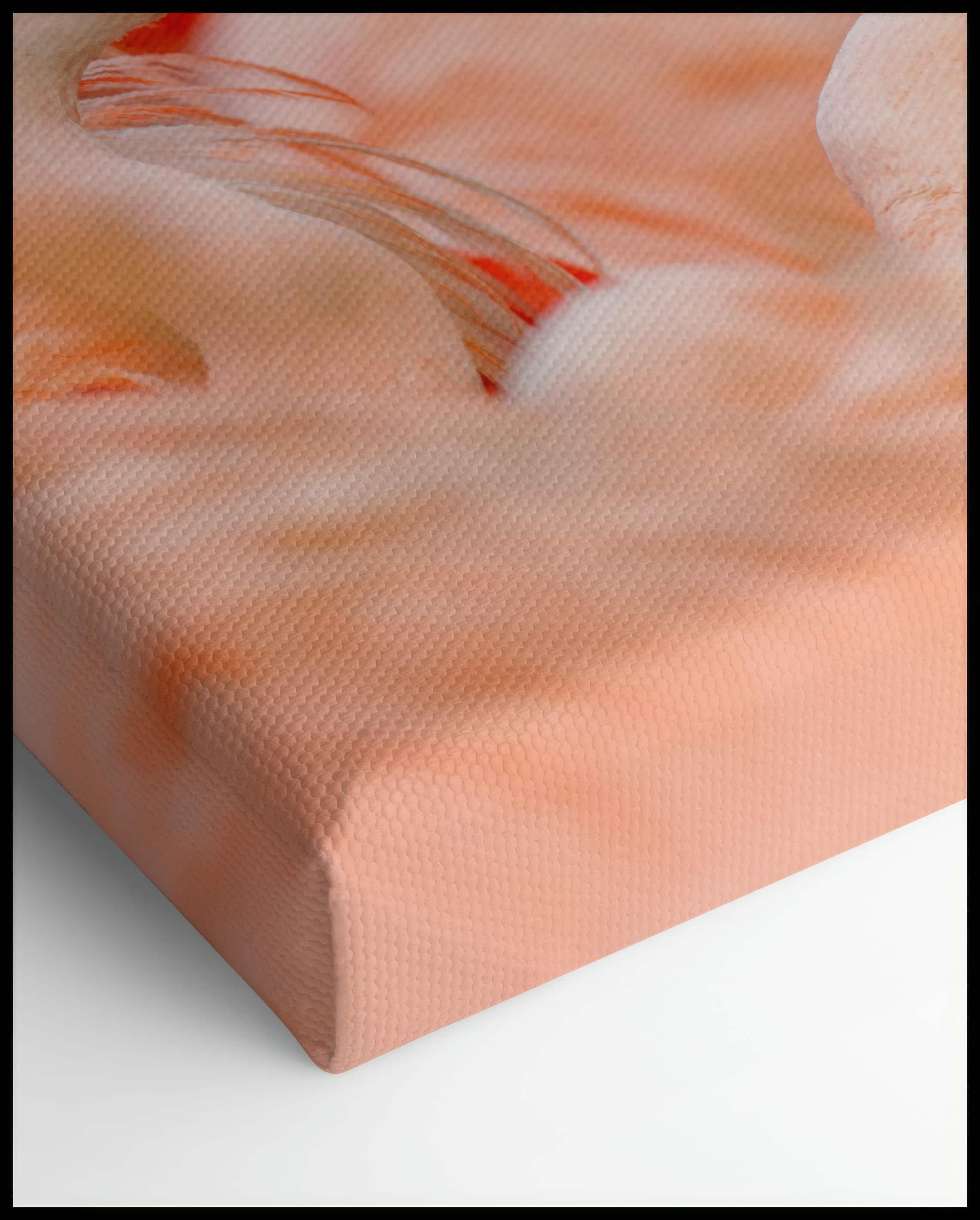 Flamingo Leinwand