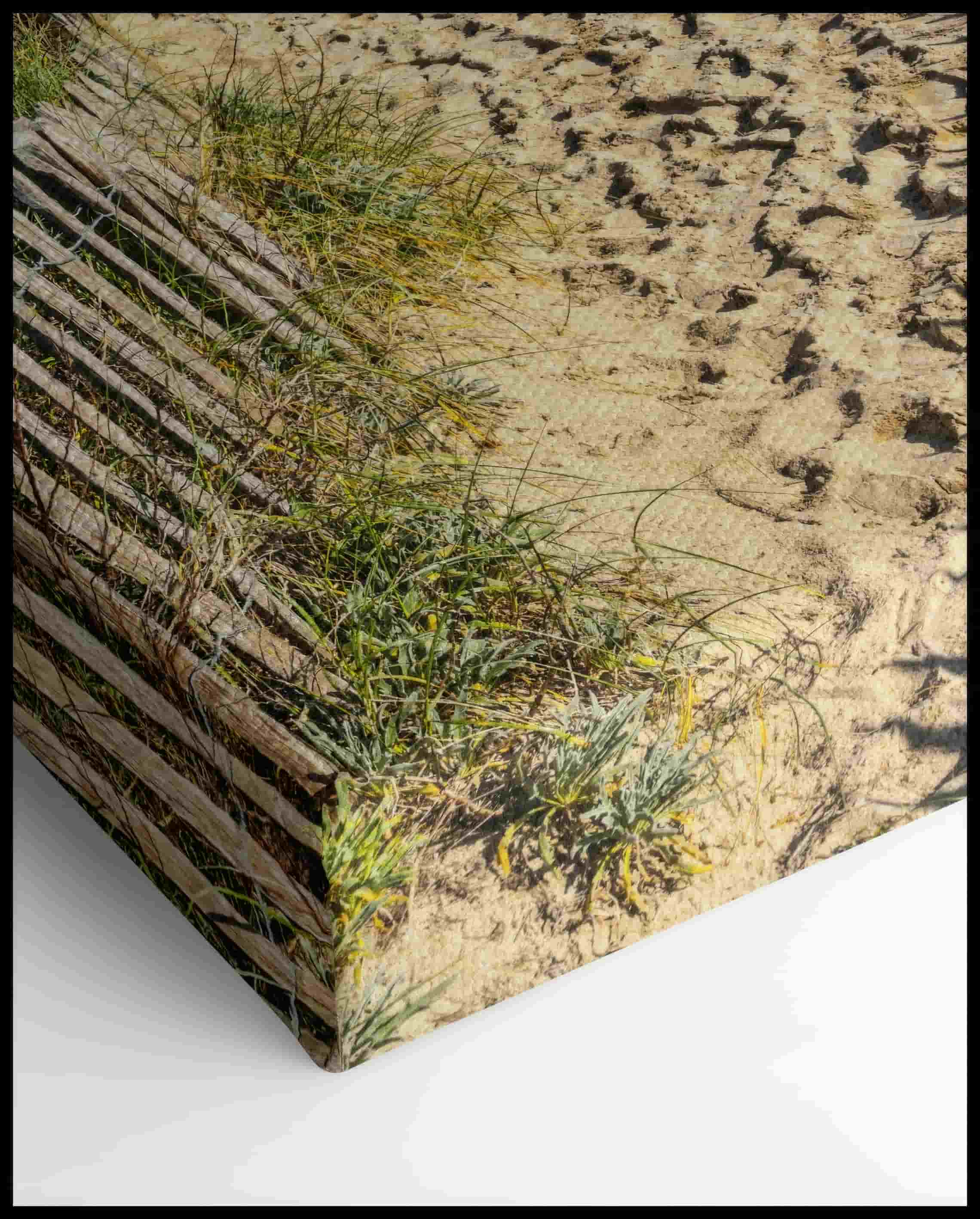 Footprints on the Beach Canvas