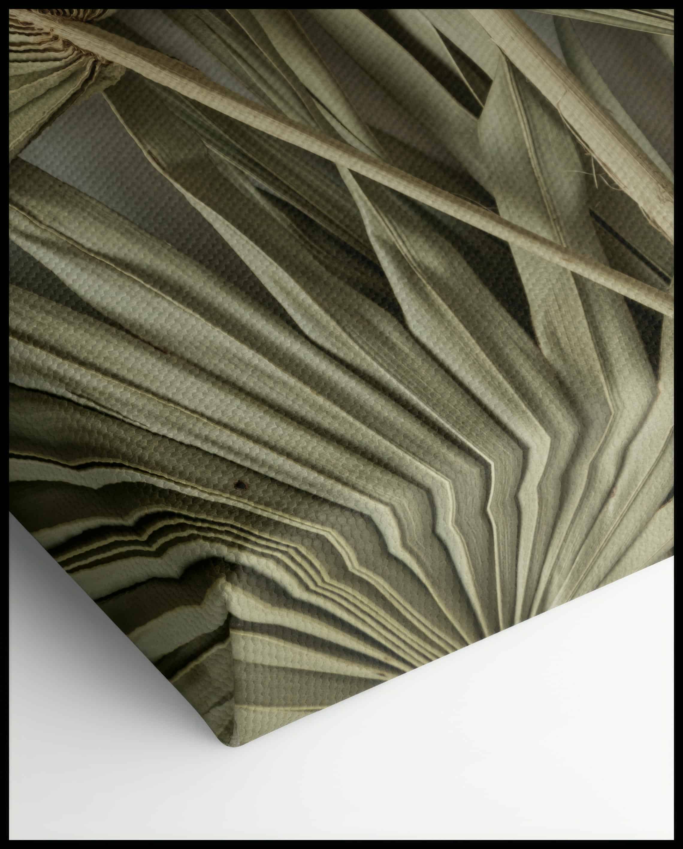 Toile de feuilles de palmier