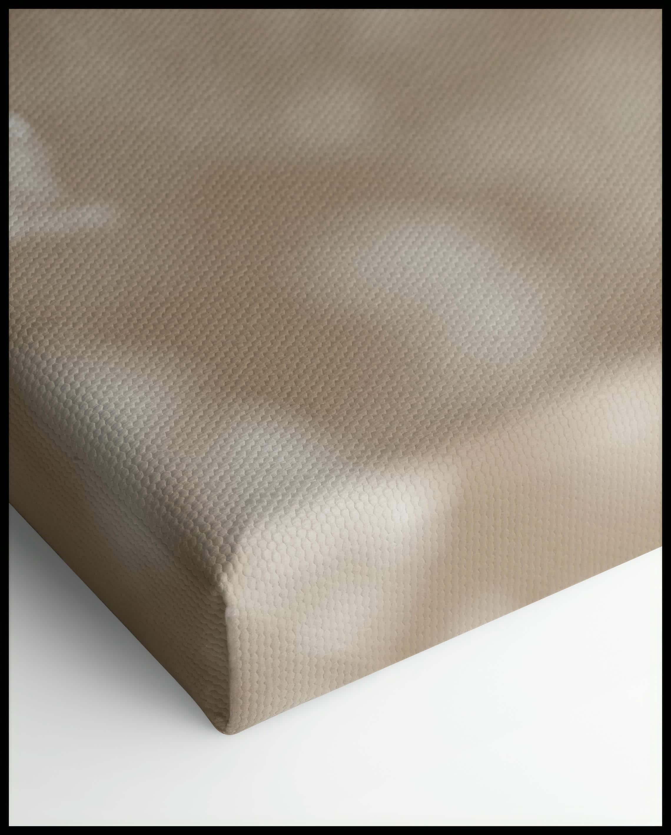 Gipskräuter Leinwand