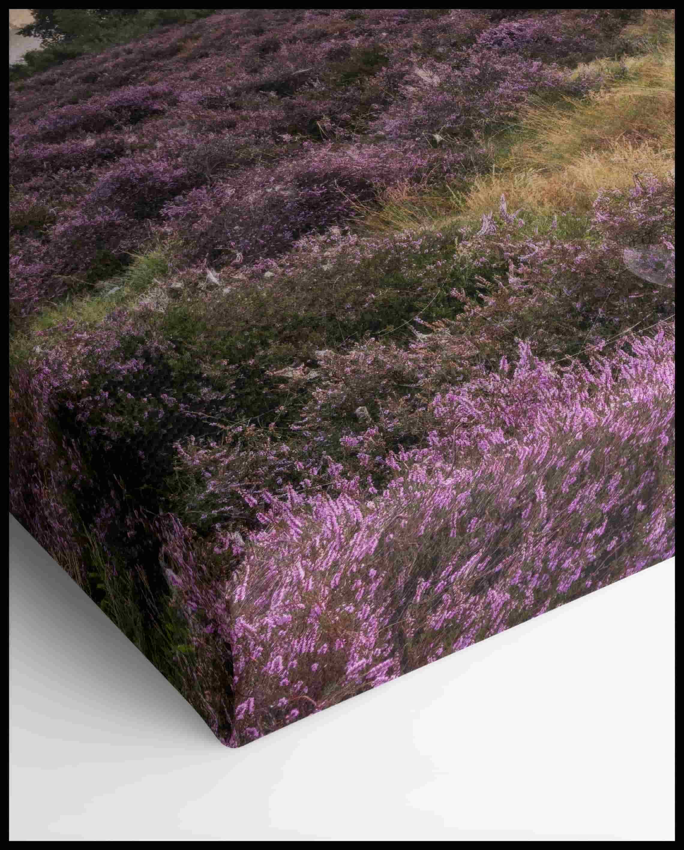 Toile de païen