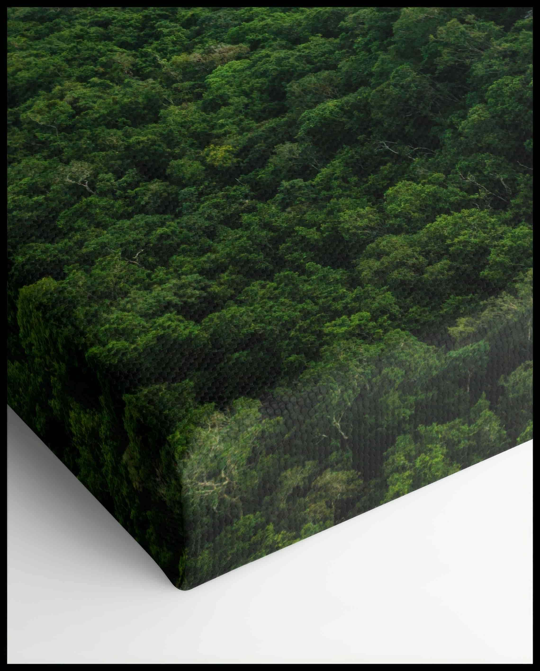 Calakmul Maya Site Canvas