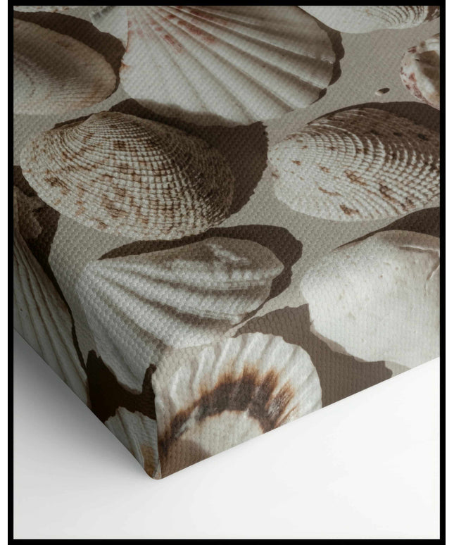 Muscheln Leinwand
