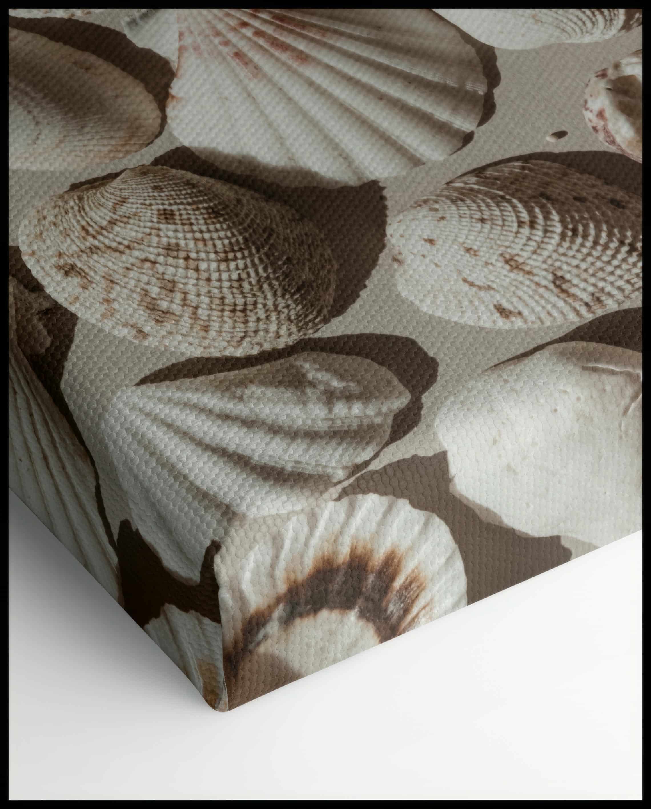 Toile de coquillages