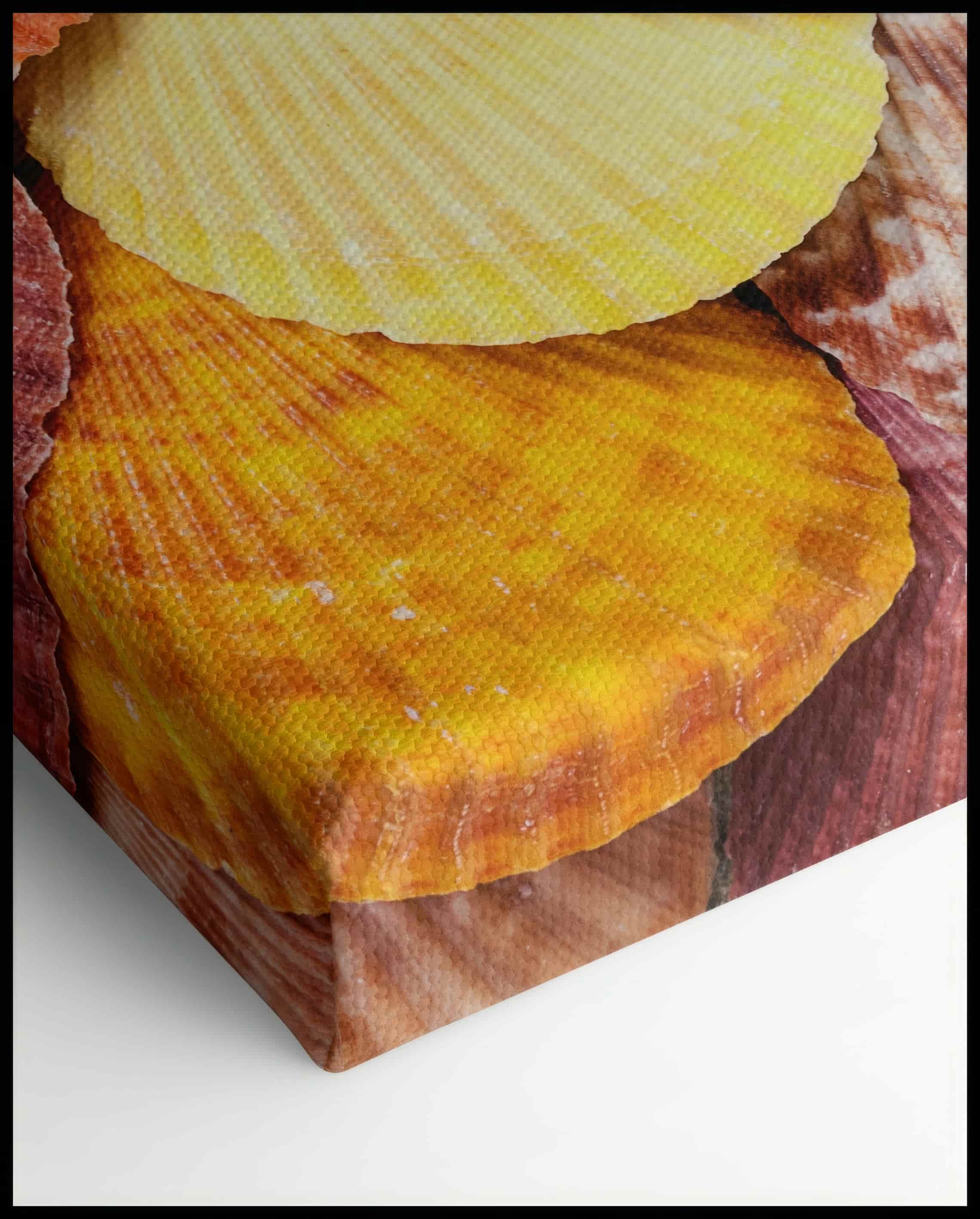 Muscheln Leinwand