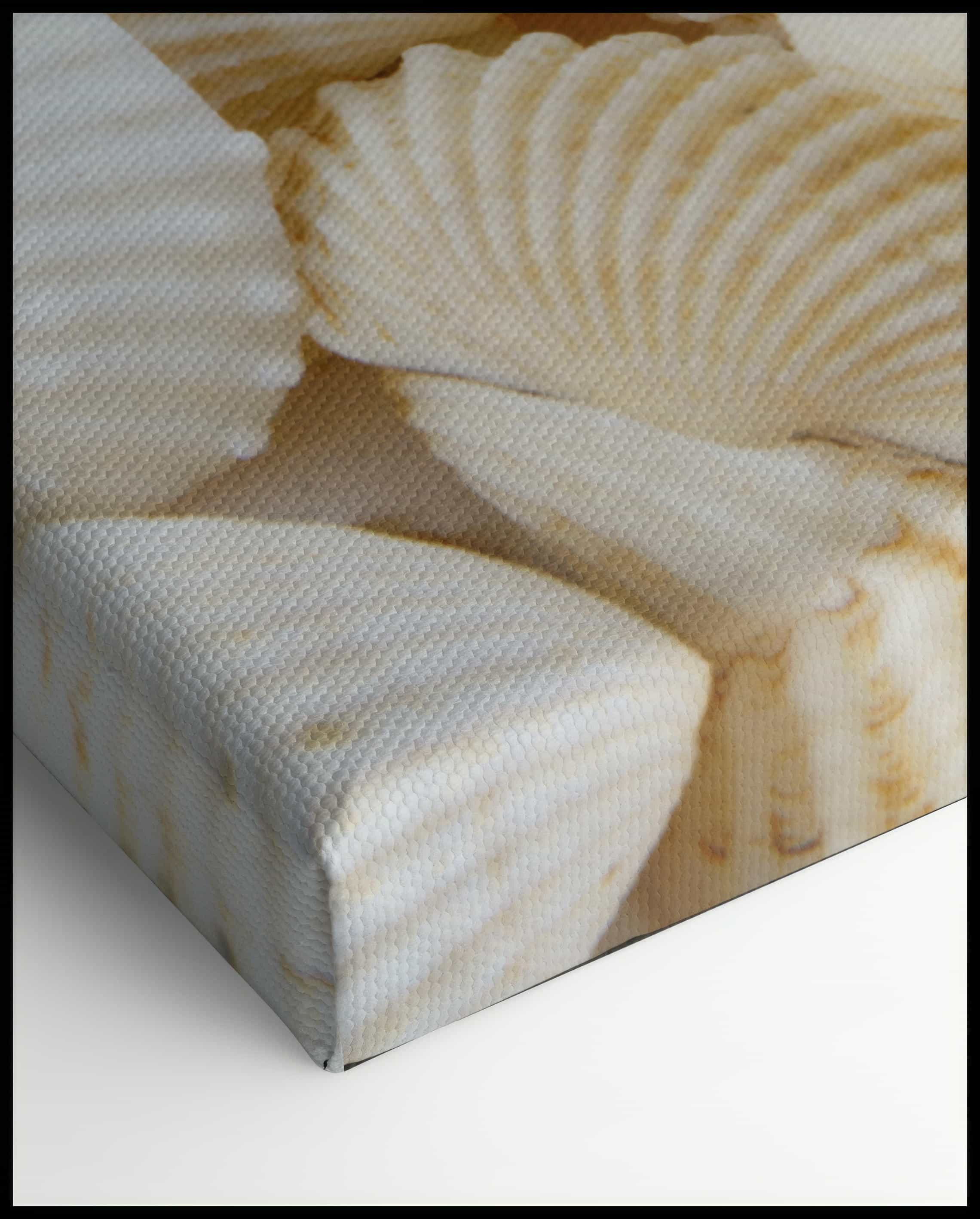 Muscheln Leinwand
