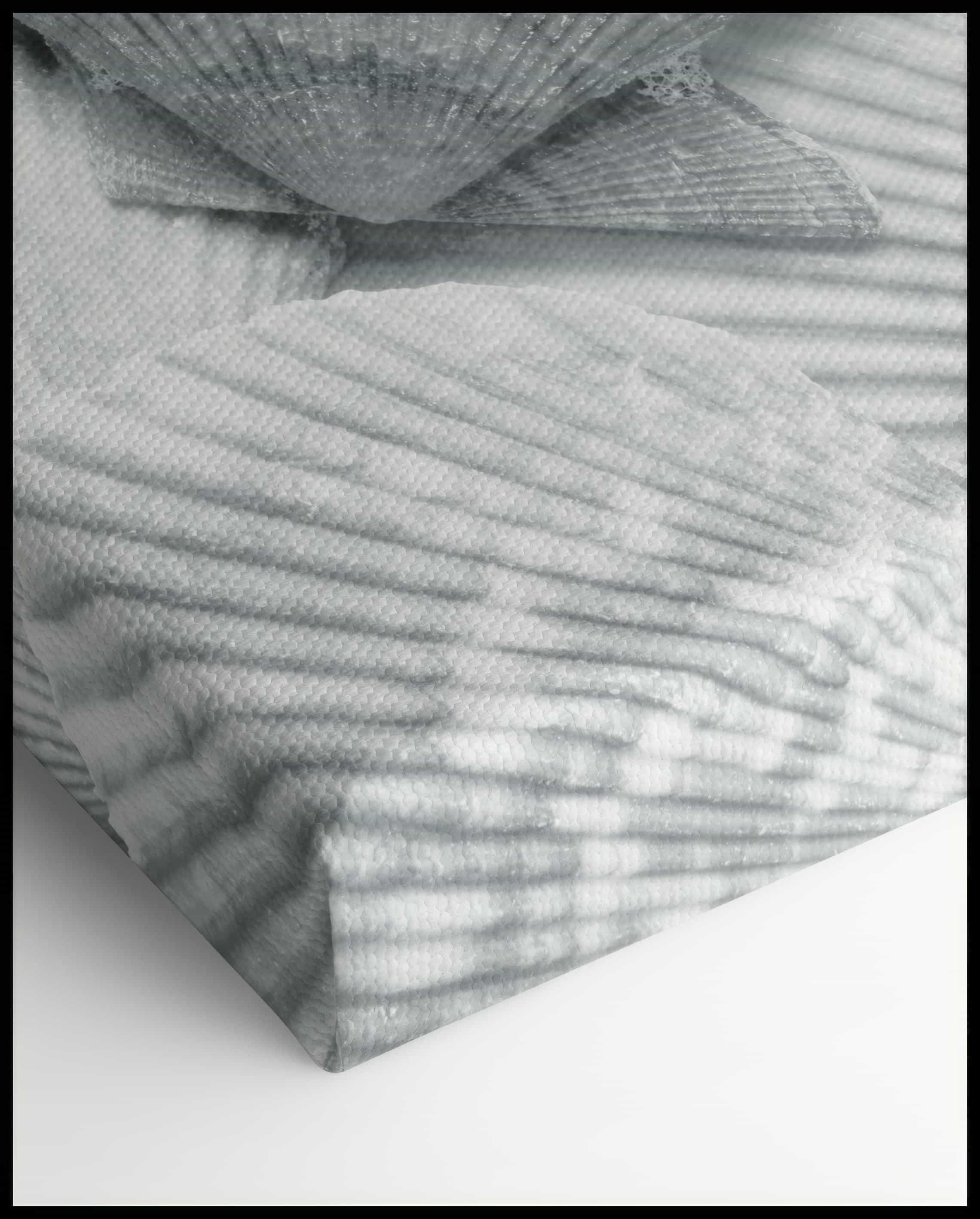Muscheln Leinwand
