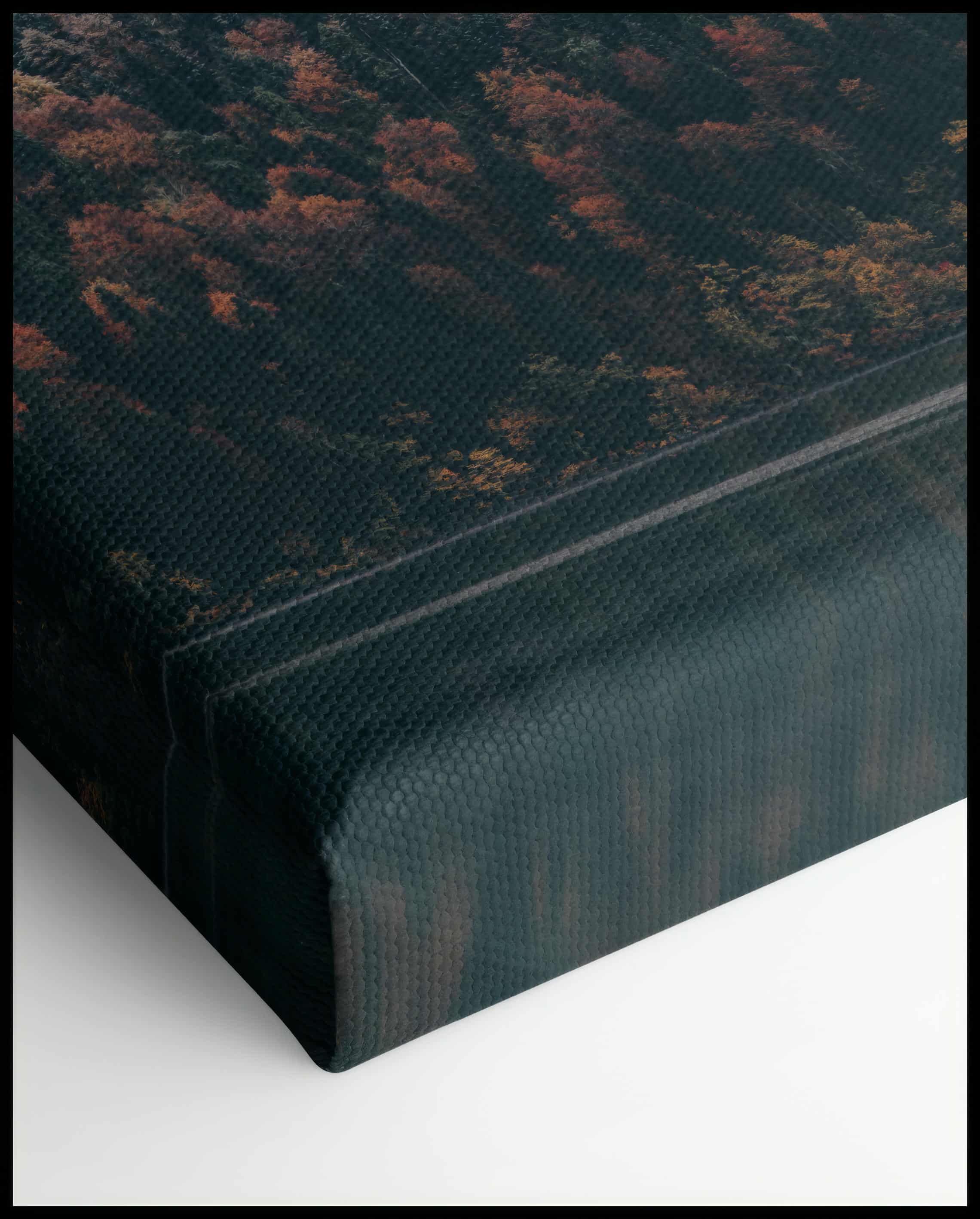 Coniferous Forest Canvas