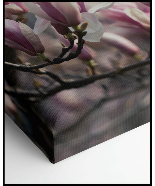 Magnolien Leinwand