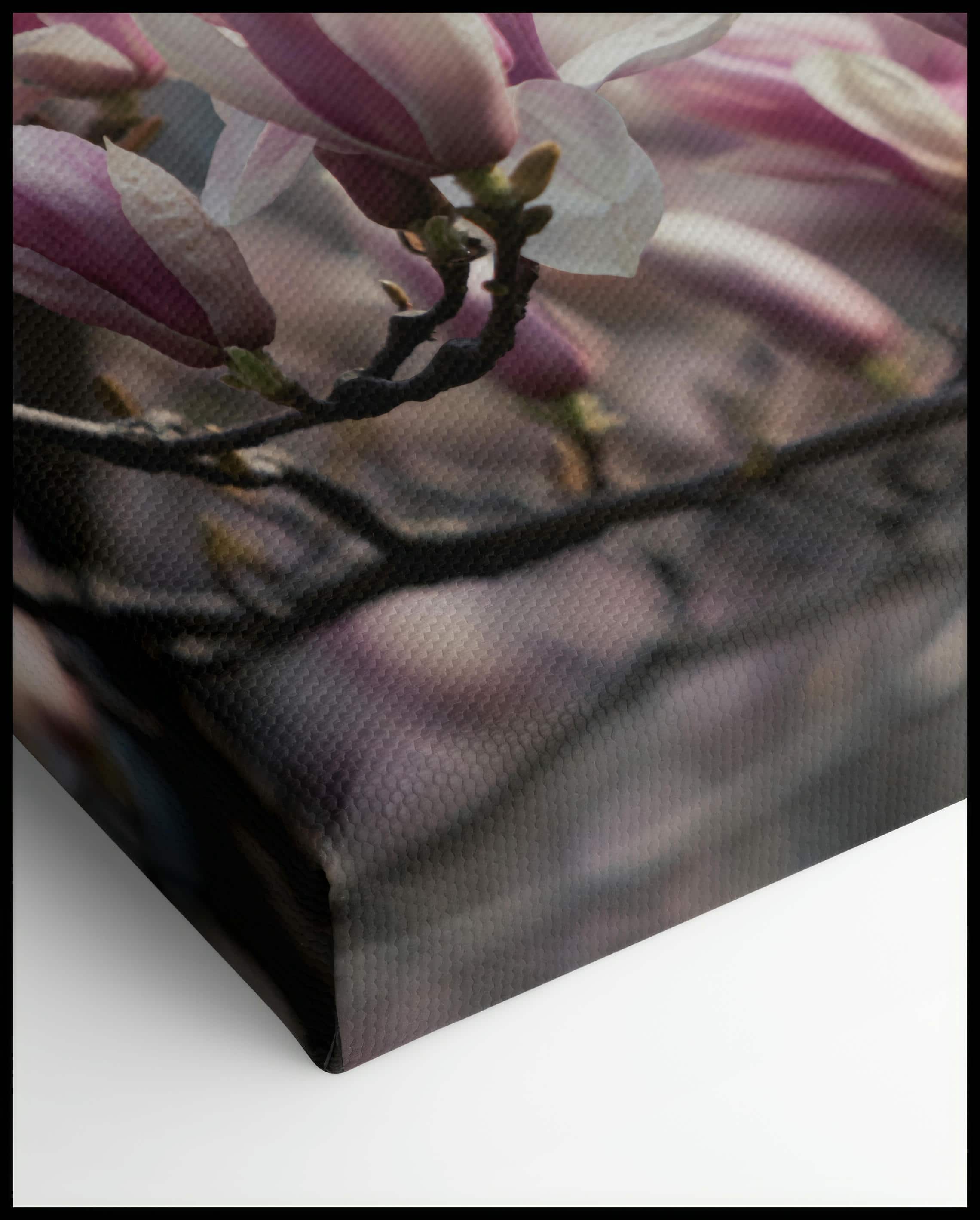Pink Magnolia Canvas