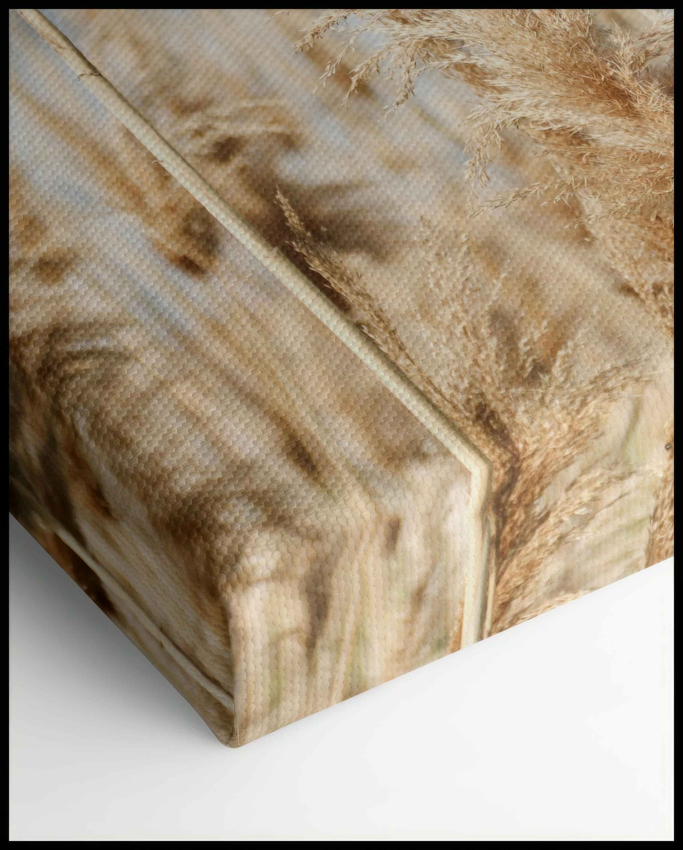 Toile de roseau