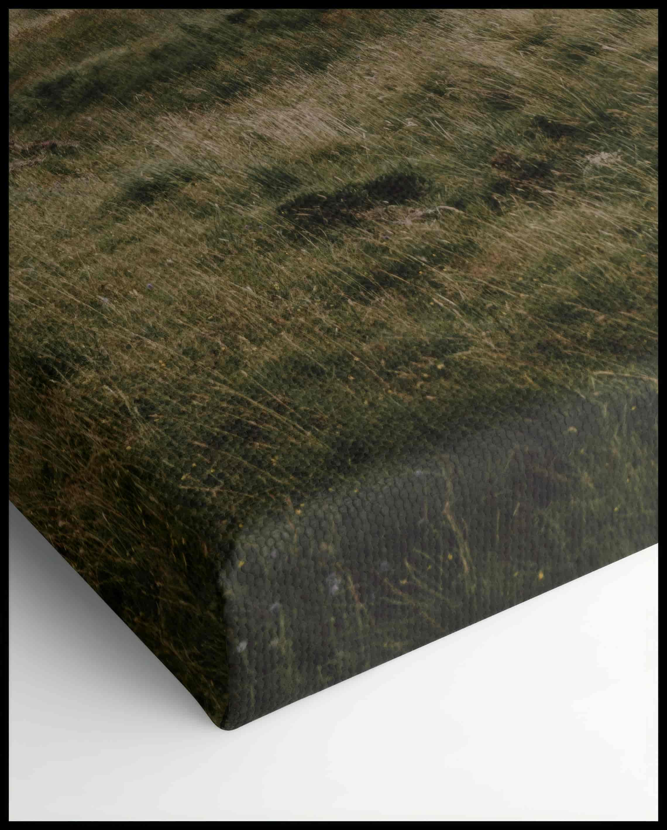 Mountain Hut Scotland Canvas