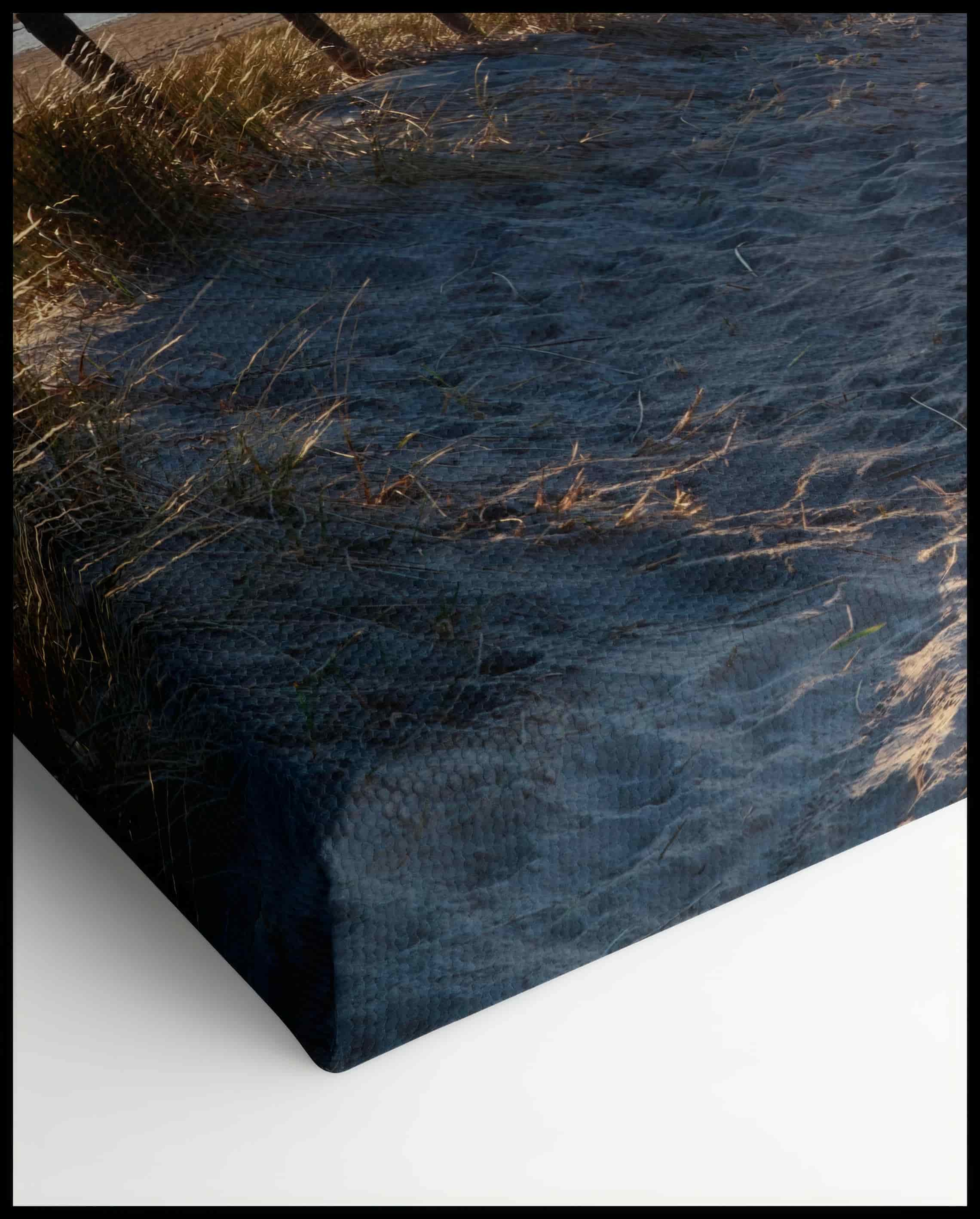 North Sea Beach Path Canvas