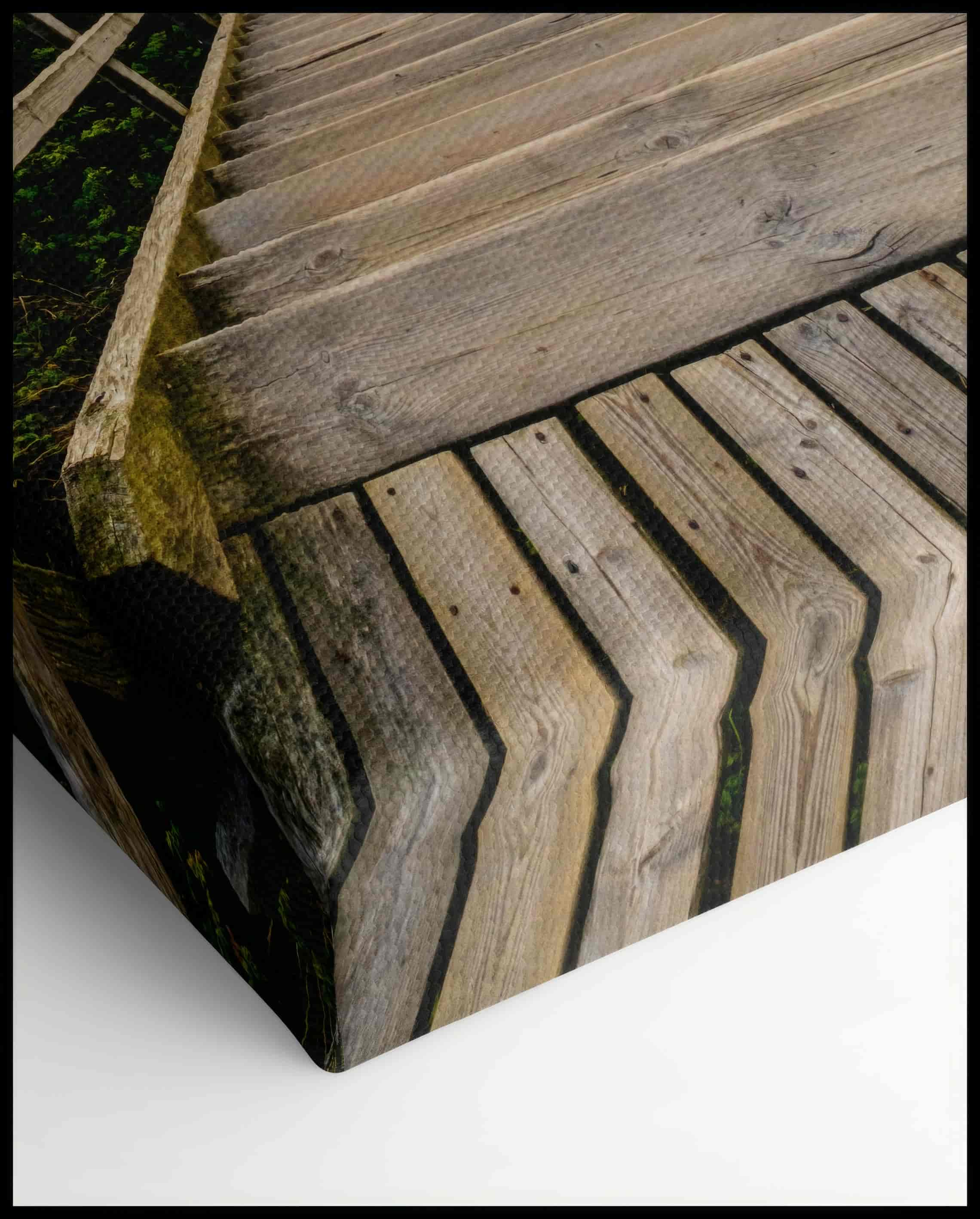 Wooden Walkway to the Beach Canvas