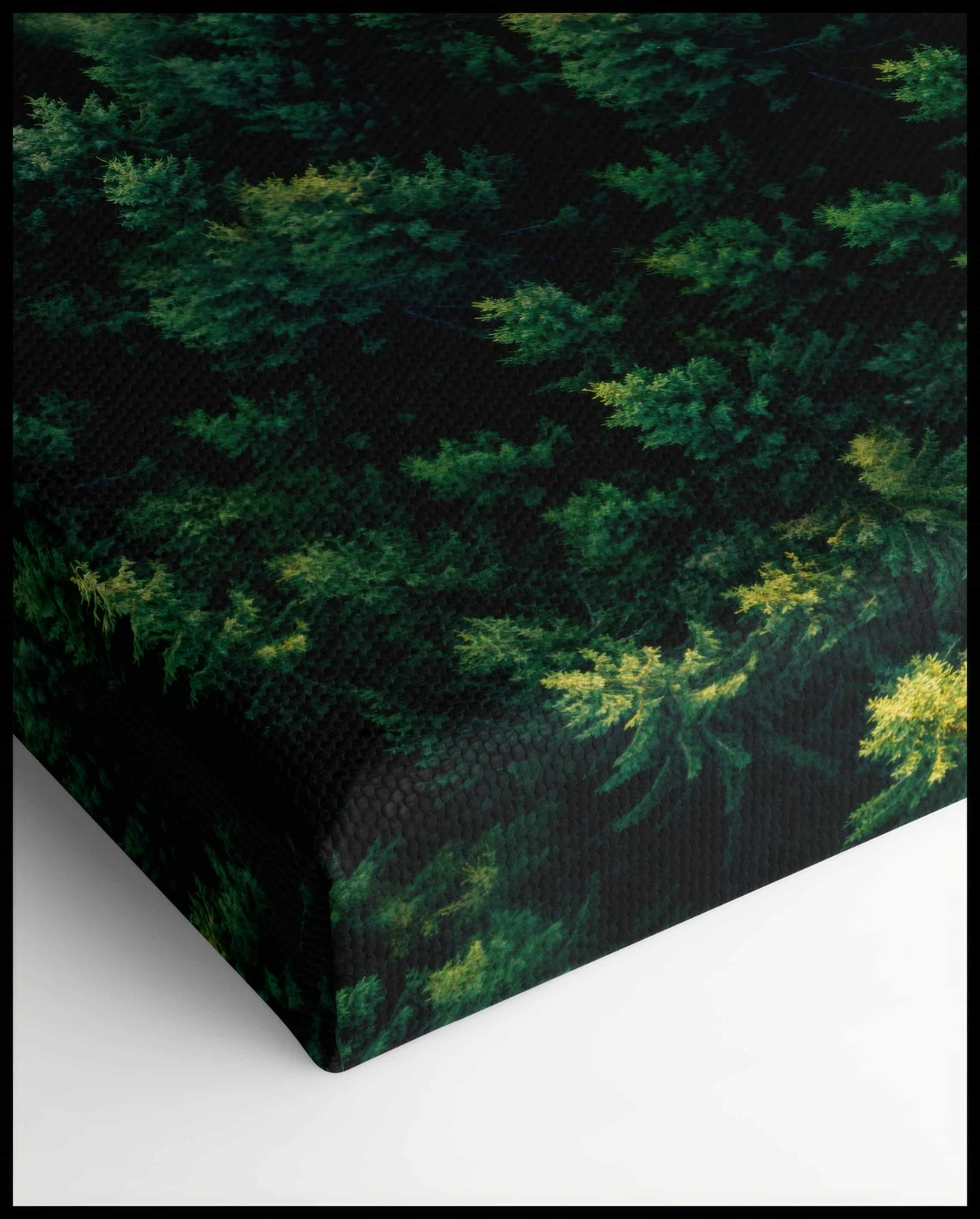 Road in the Forest Canvas