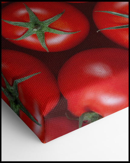 Tomaten Leinwand