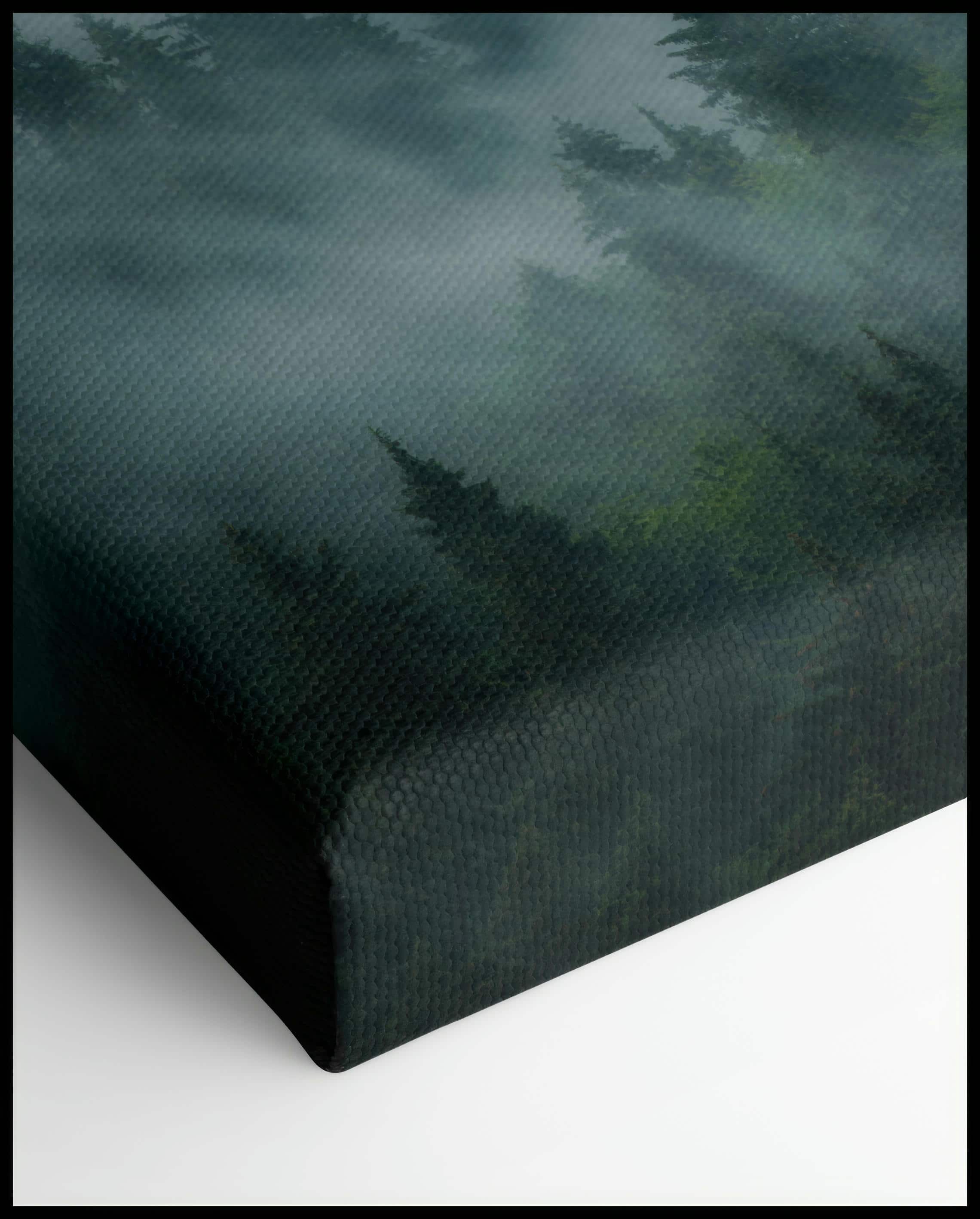 Foggy Forest Canvas