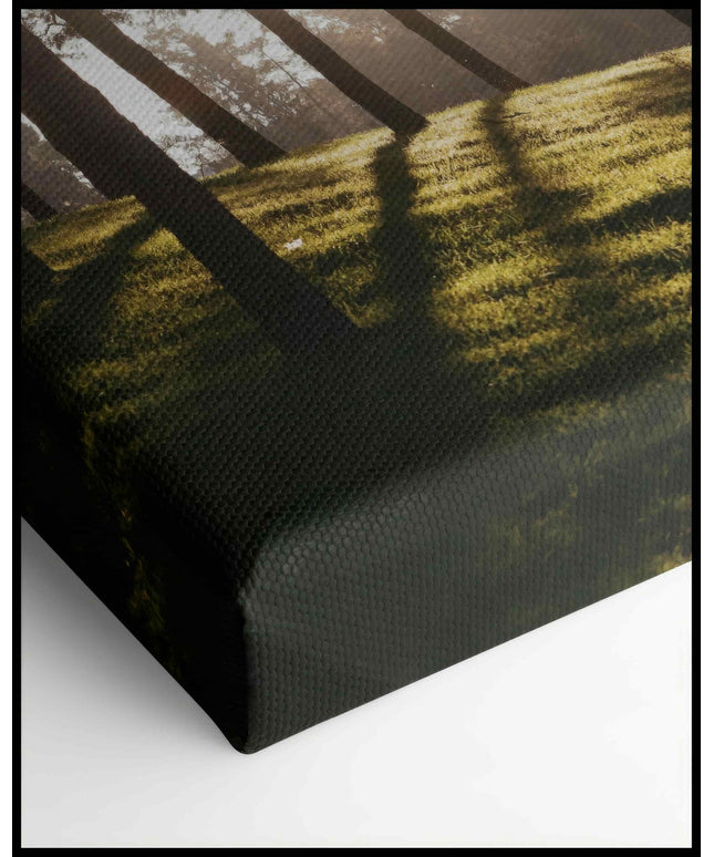 Sonnenschein Leinwand