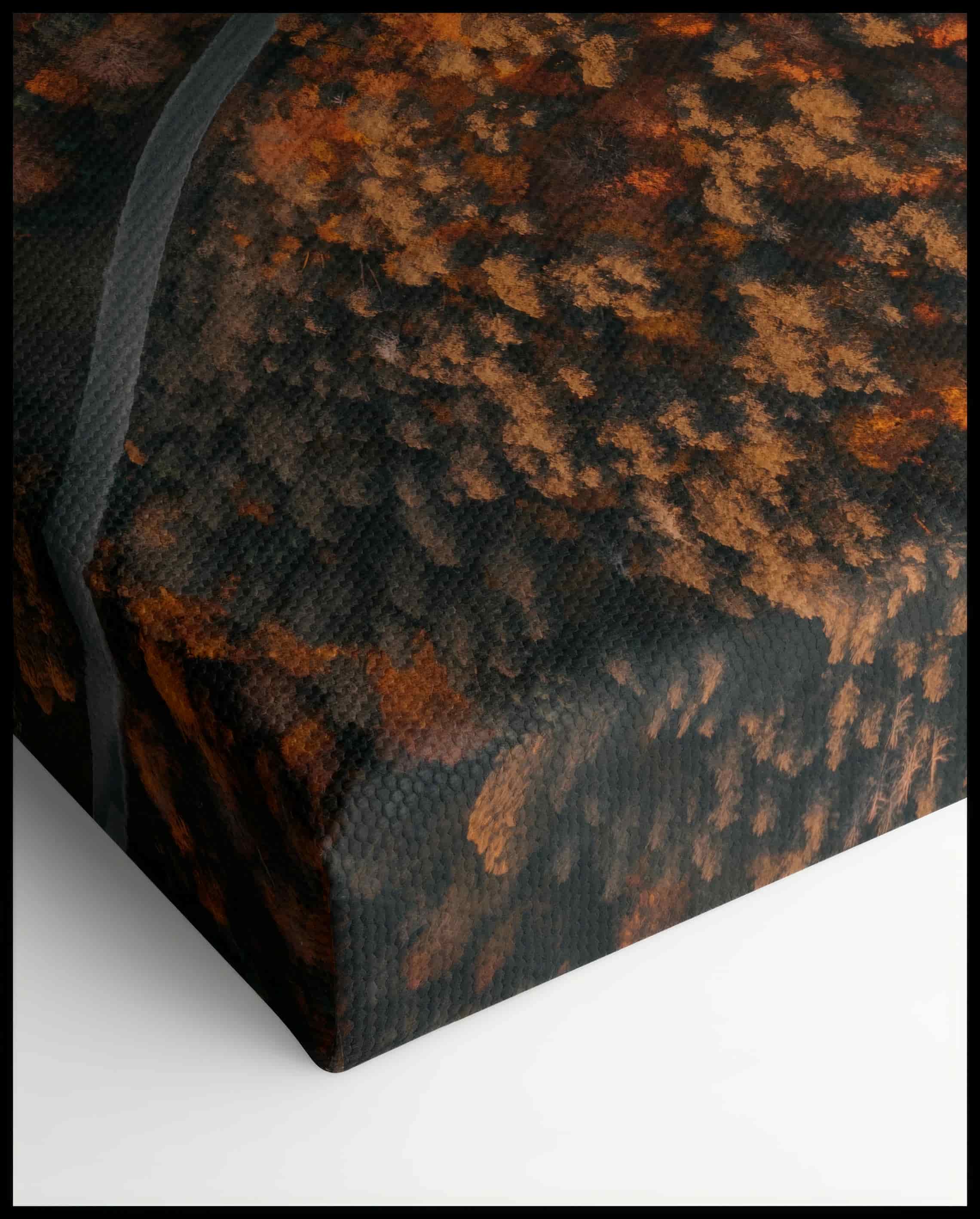 Road in the Autumn Forest Canvas