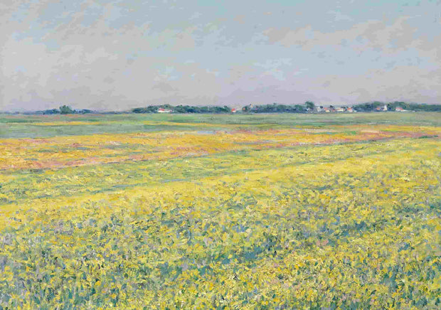 <h3>Gustave Caillebotte</h3>