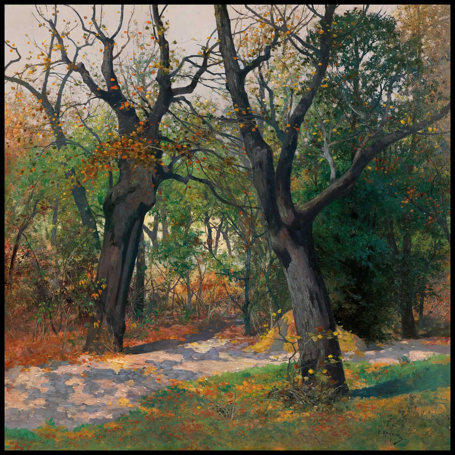 Autumn Morning