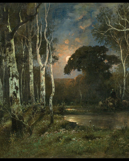 Auwald im Mondschein