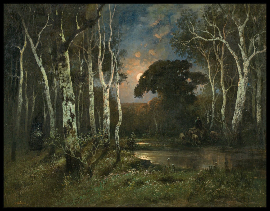 Alluvial forest in the moonlight
