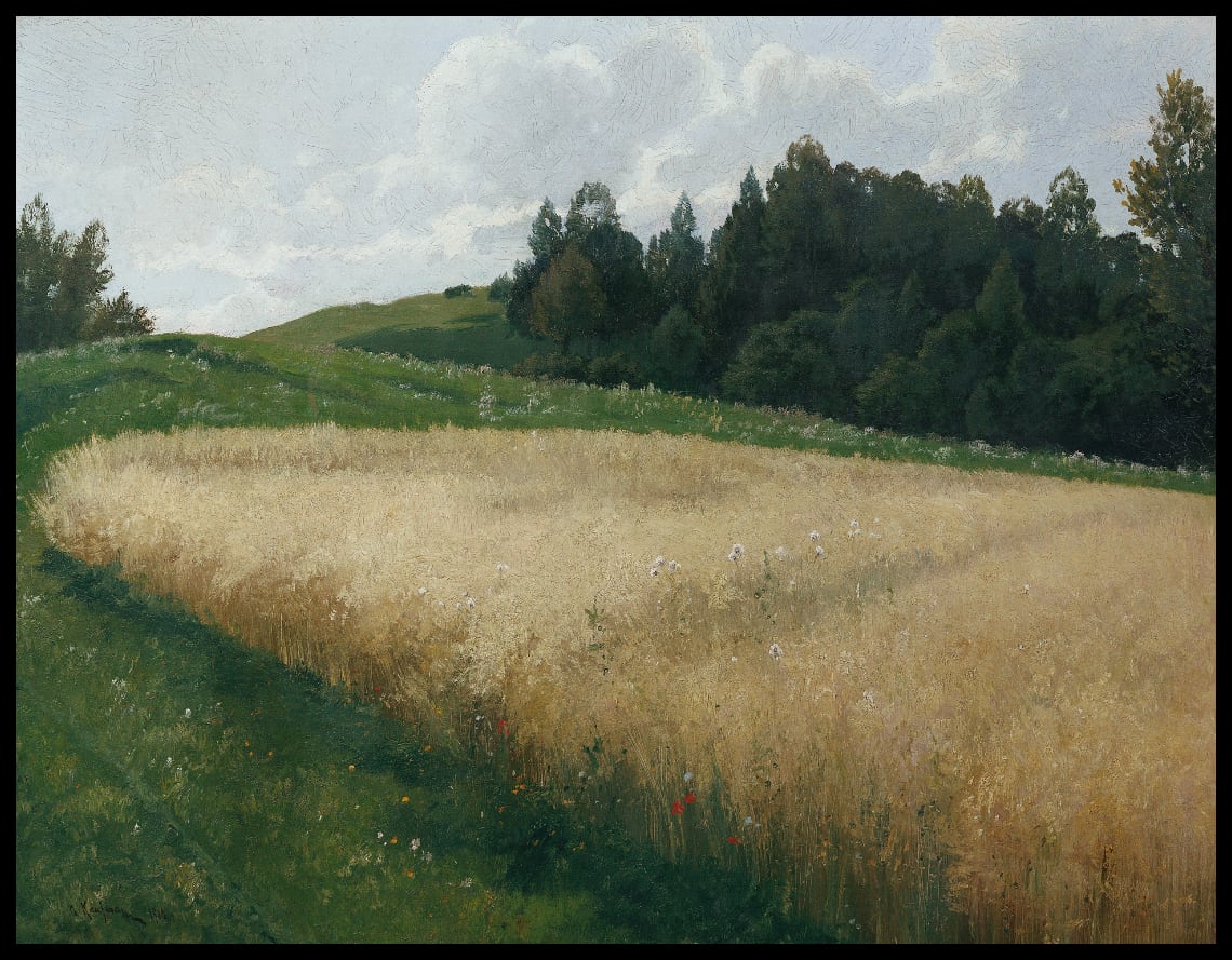 Das Haferfeld