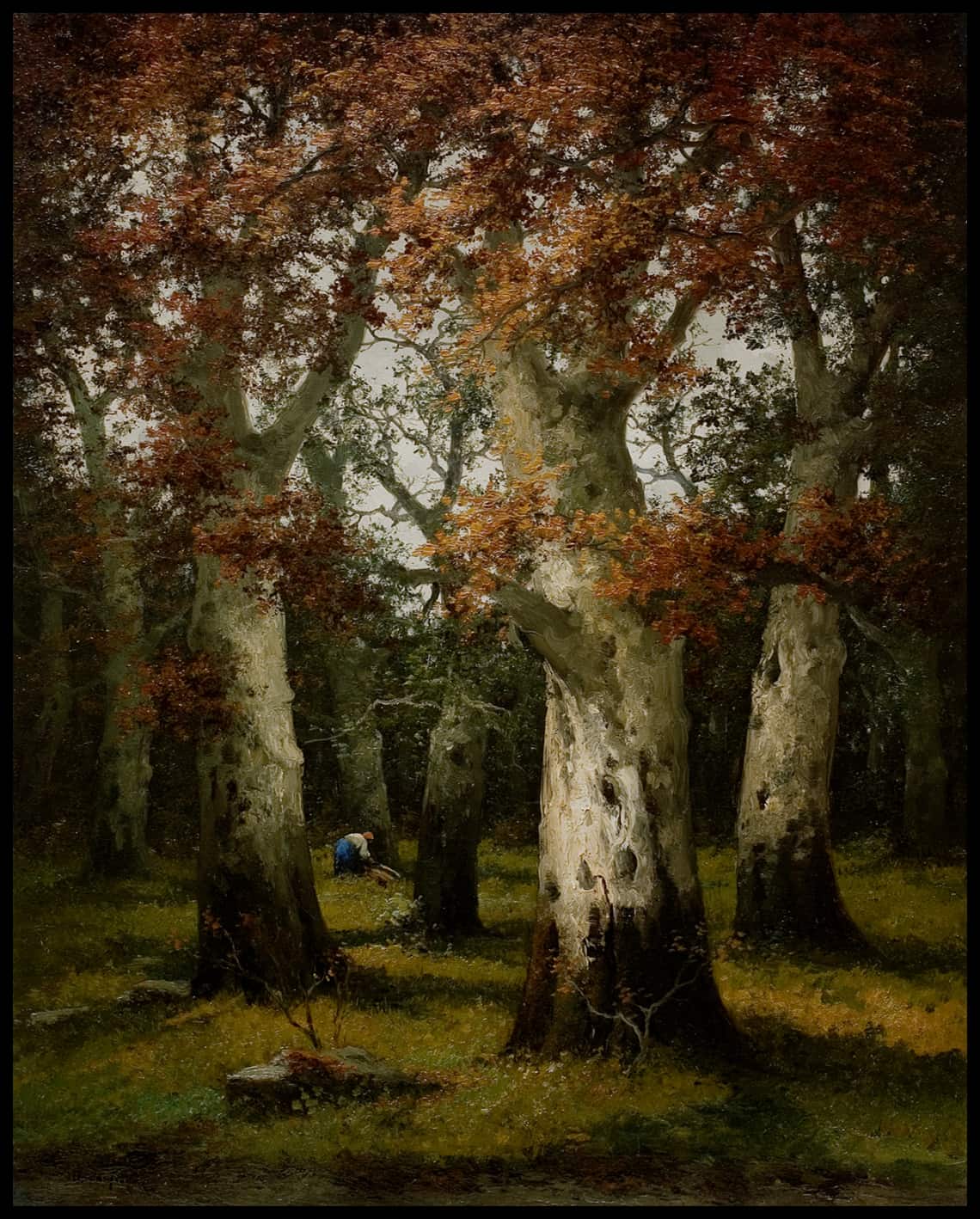 The brushwood collector