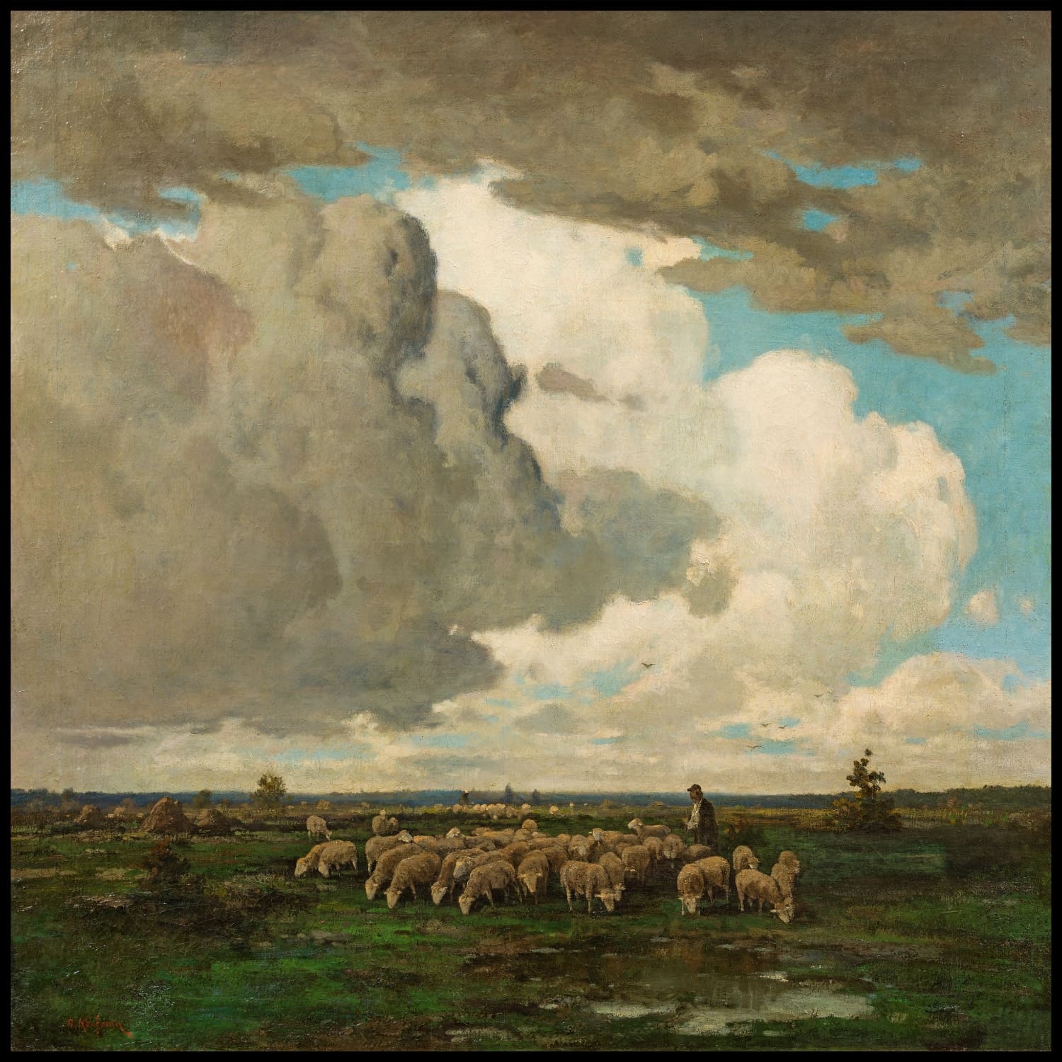 Shepherd with flock of sheep