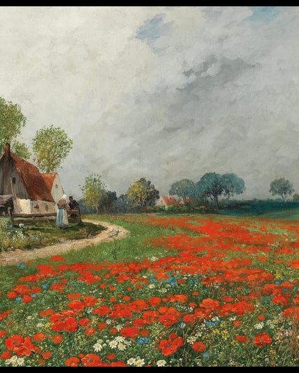 Mohnblumenfeld mit Margeriten