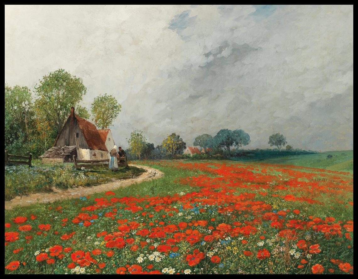 Poppy field with daisies