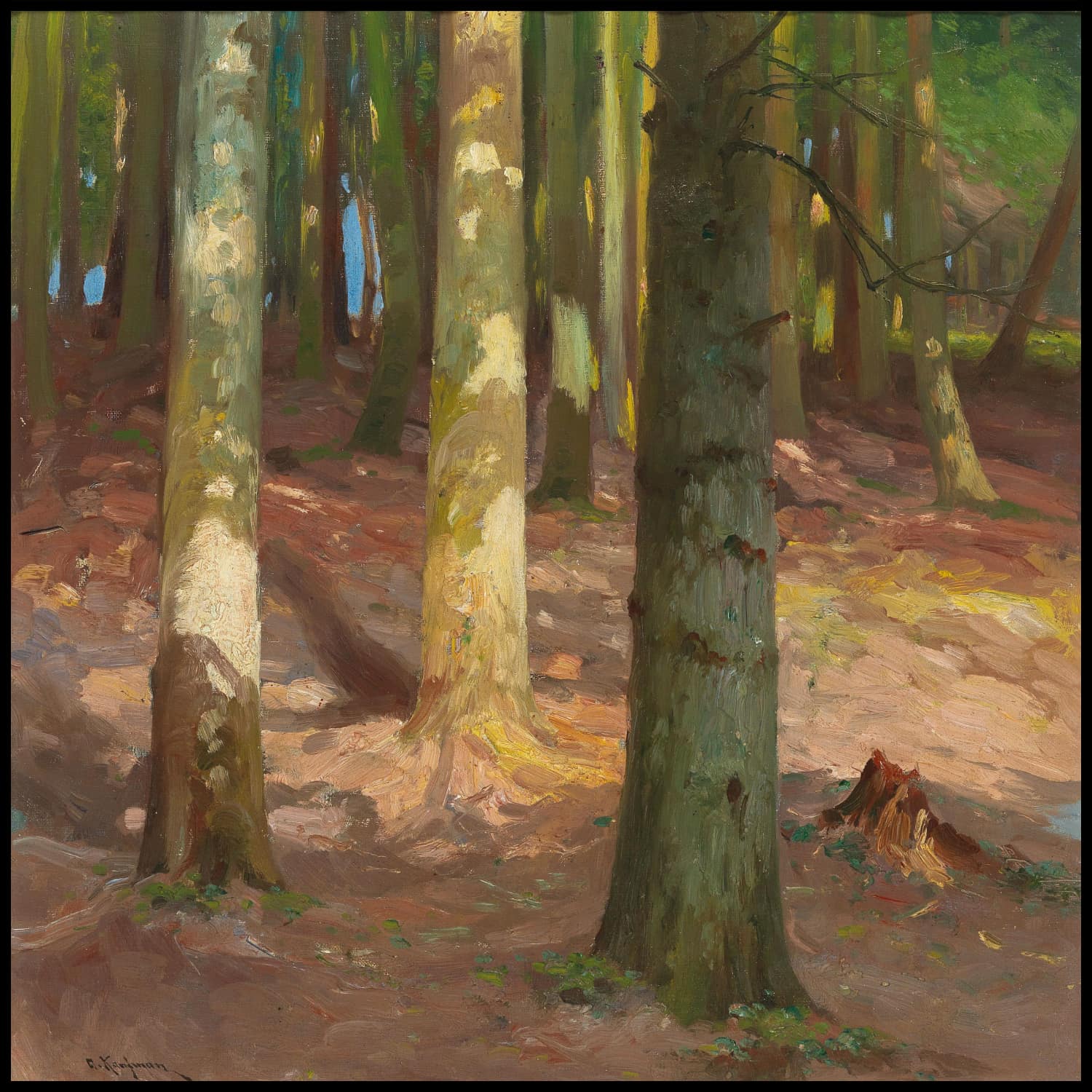 Forest