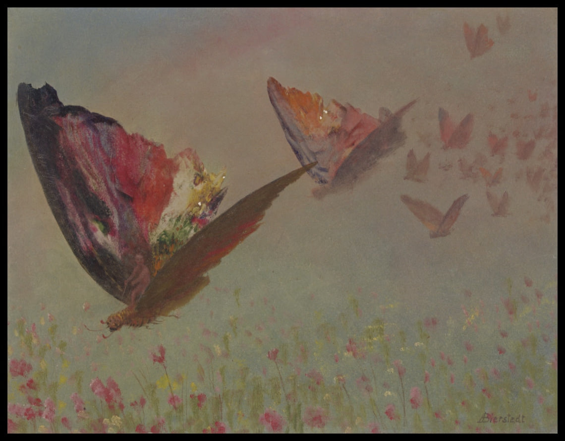 Butterflies with Riders