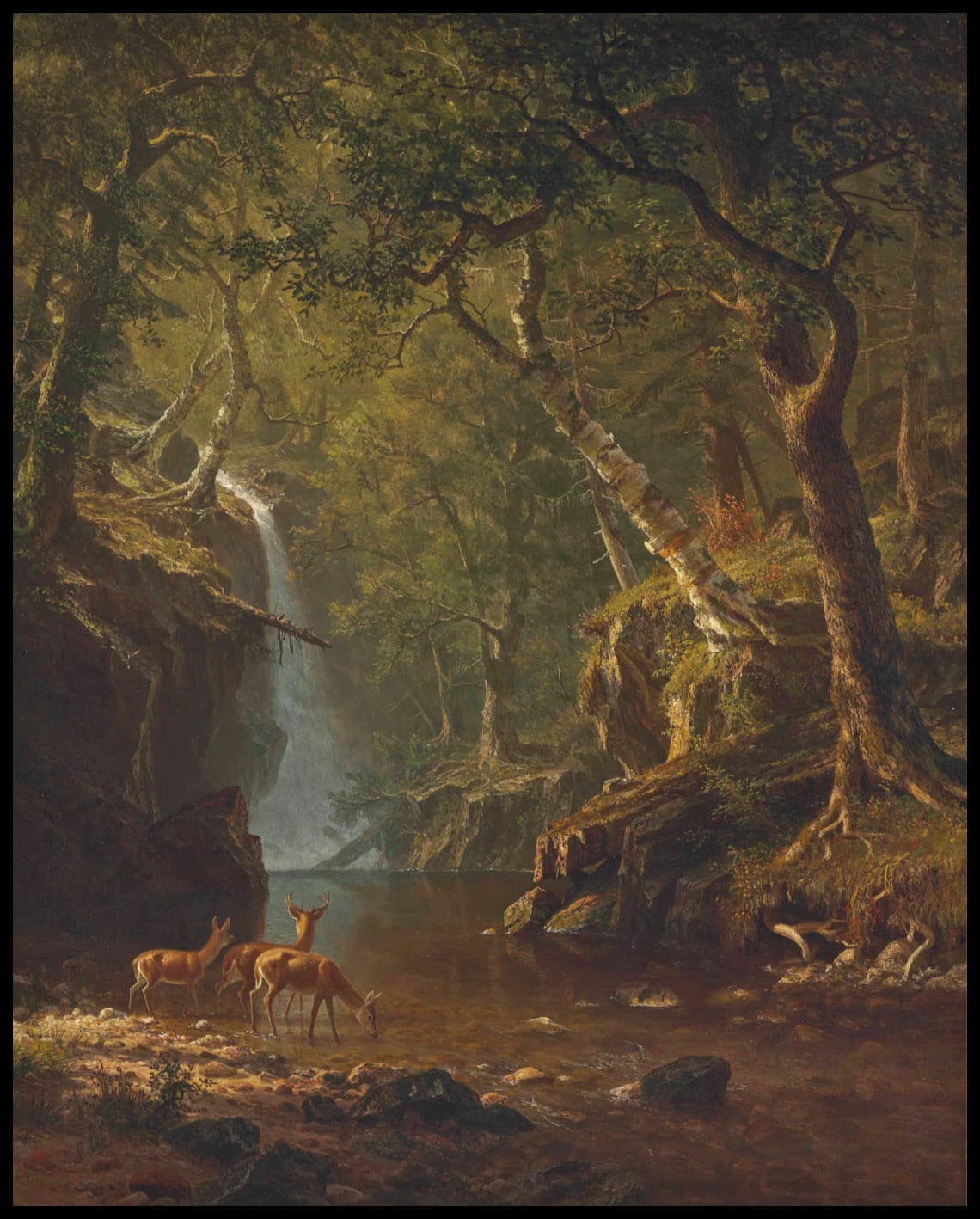Cascading Falls