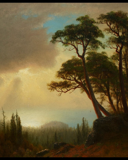 Clear Lake, California 2