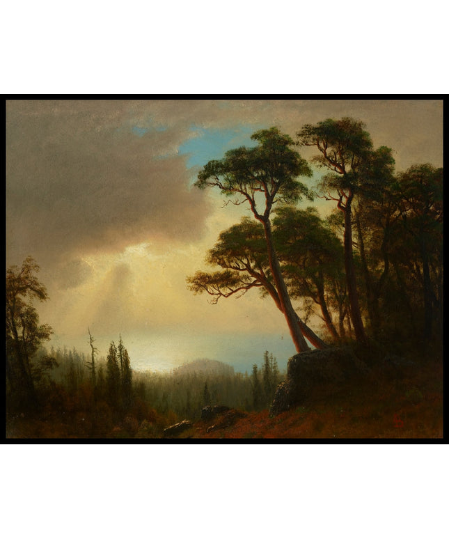 Clear Lake, California 2